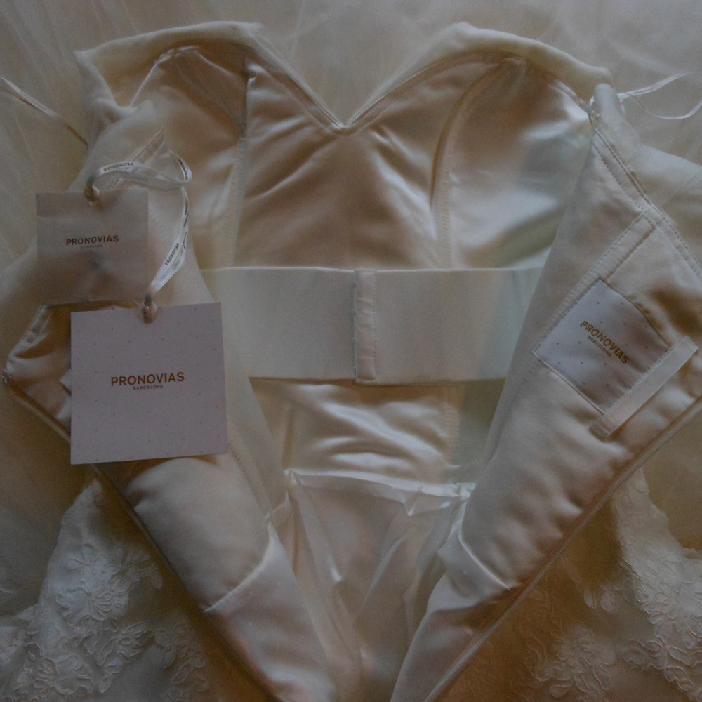 Pronovias Wedding Dress Oly - Picture 8 of 8